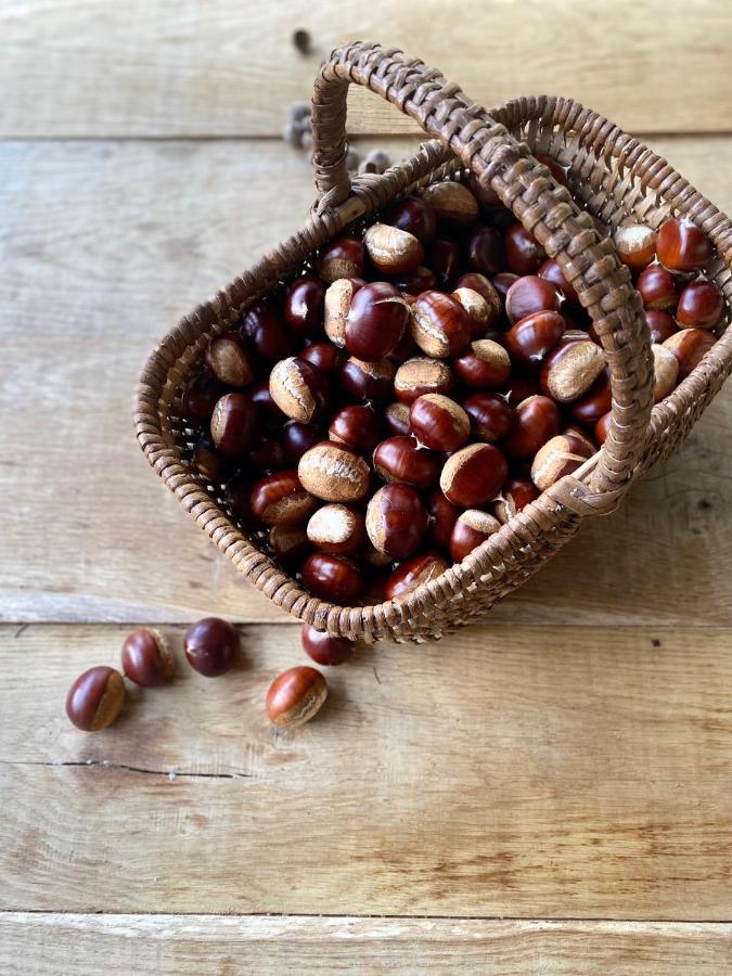 Gite Dordogne Perigord Hautefort Zewnętrze zdjęcie